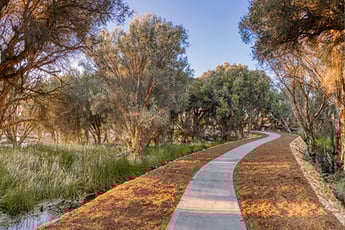 1200x800 walking WA