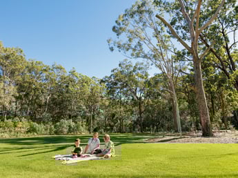 Featured photo of Bringing Sage Community Park to Life